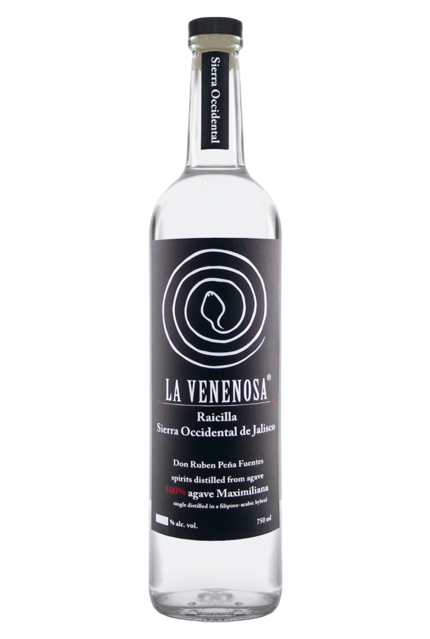 LA VENOSA RAICILLA OCCIDENTAL