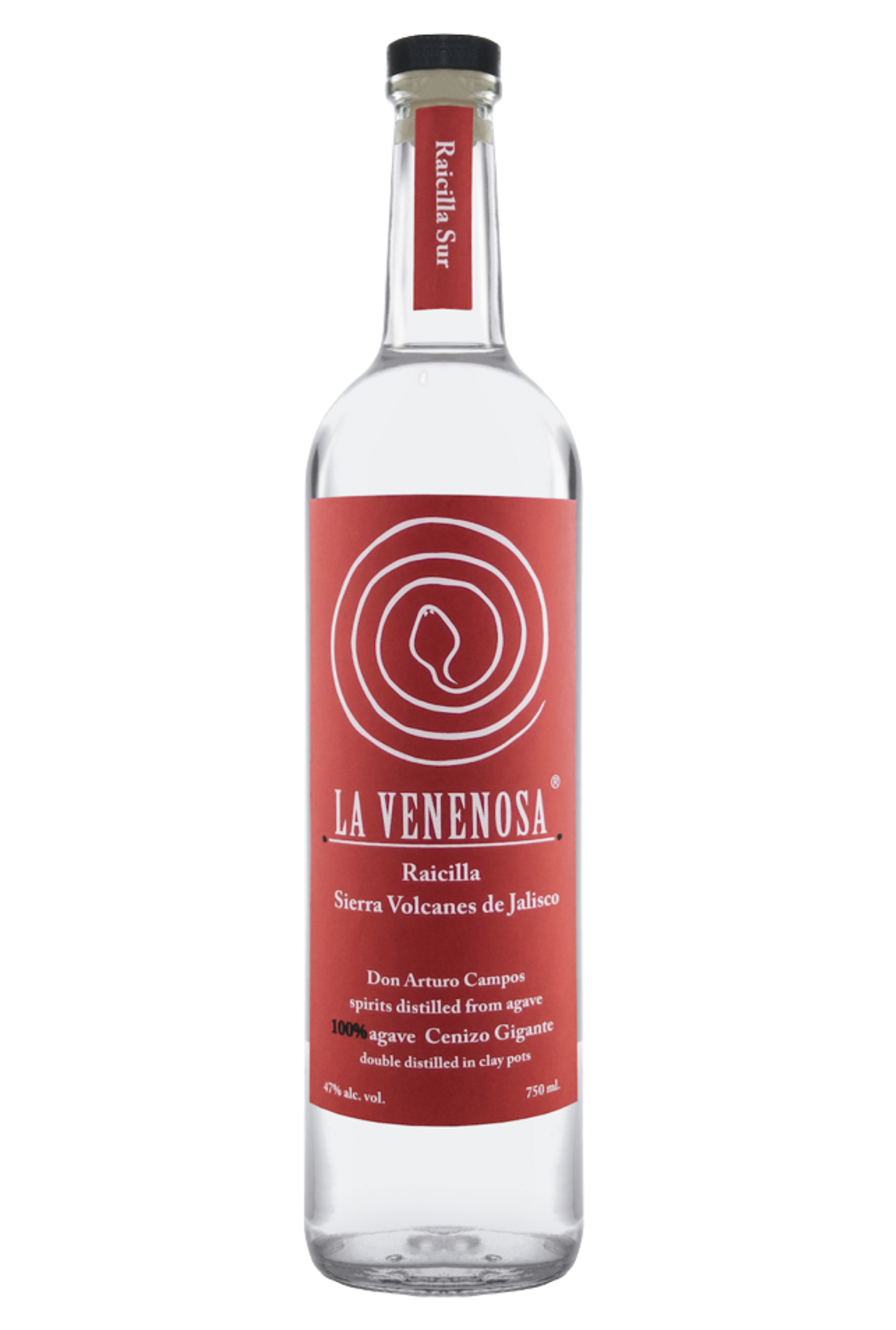 LA VENENENOSA RAICILLA VOLCANES
