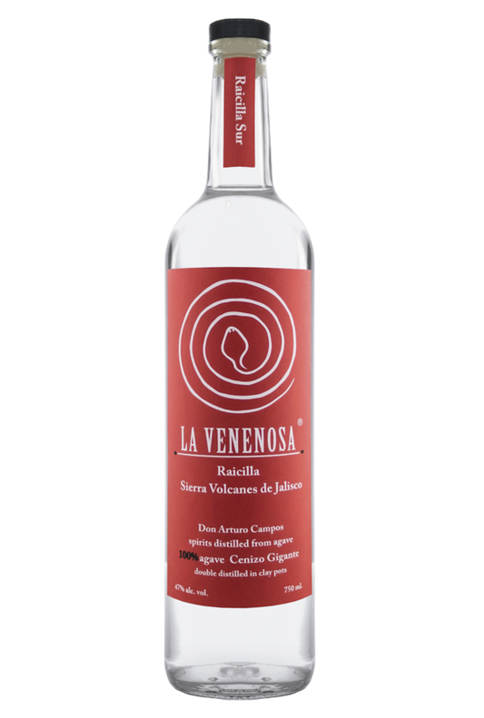 LA VENENOSA RAICILLA VOLCANES